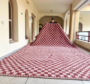 Safi Stripe Moroccan Wool Rug