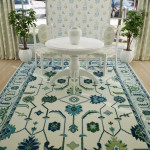 Rustic Roots Oushak Rug
